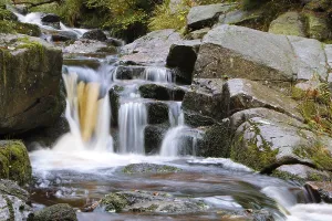 Central Europe Nature Reserves Prints: Waterfall of a low mountain stream