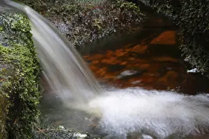 Central Europe Nature Reserve Prints: Waterfall of a low mountain stream