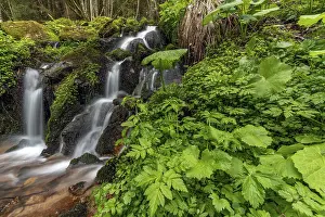 Waterfall In Alsace Prints: Waterfall in a mountain forest at springtime