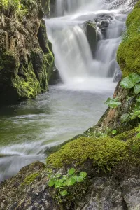 Uninhabited Mountain Stream Prints: Waterfall, mountain river Stimitz
