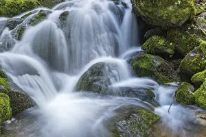 Mountain Torrent Flowing Prints: Waterfall on a mountain stream in spring