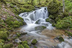 Vosges Mountains Waterfall Prints: Waterfall on a mountain stream in spring