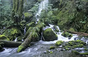 Rocky Mountain Formation Prints: Waterfall on Olympic Peninsula