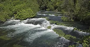 Prints of Waterfall, River, Krka Natural Park, Near Sibenik in Damaltia, Croatia River Prints: Krka Waterfall Print, Croatia