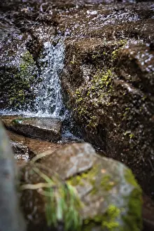 German Waterfalls Prints: Waterfall of a small stream in the forest