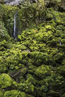 Waterfall In France Prints: Waterfall, Source du Lison, Source des Lison