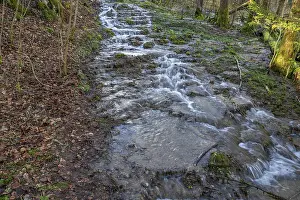 Bavaria Waterfall Prints: Waterfall of a stream in spring
