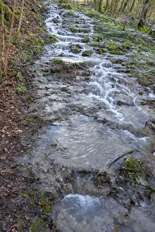 Bavaria Waterfalls Prints: Waterfall of a stream in spring