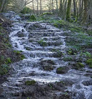Bavaria Waterfall Prints: Waterfall of a stream in spring