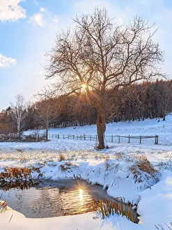 Winter Time Nature Photography Prints: Waterhole in a snowy landscape
