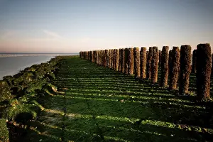 Deserted Dutch Coast Prints: wave-breaker