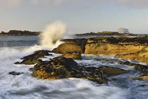Prints of Wave breaking on rocks on the coast, at back Bird Rock Bass Rock, Dunbar, Scotland Rock Bass Prints: Wave Breaking on Rocks Print, Dunbar Coast, Scotland