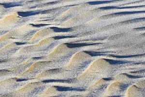 Lower Saxony Shoreline Prints: Wave-like structures, ripple in the sand