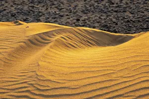 Wavy Sand Dune Structure Prints: Wave pattern, Maspalomas sand dunes