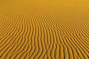 UNESCO World Heritage Desert Landscape Prints: Wave pattern in the sand, Namib Desert, Namibia