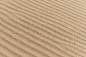 African Desert Landscape Prints: Wave pattern in the sand, Sossusvlei