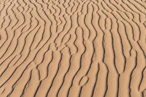 Natural Preserve Landscapes Prints: Wave pattern in the sand, Sossusvlei