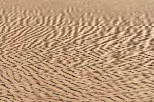 Top Down View Of Dunes Prints: Wave pattern in the sand, Sossusvlei