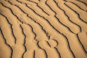African Nature Reserve Prints: Wave pattern in the sand, Sossusvlei