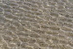 Undulating Wave Structure Prints: Wave pattern in shallow water, beach