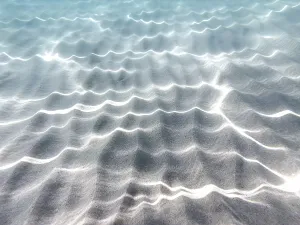 Peaceful Waterfront Scene Prints: Wave patterns and light reflections in the clear water over a sandy bottom