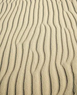 Wavy Sand Patterns Prints: Wave patterns in light sand, Sandfly Bay