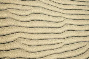 Wavy Sand Patterns Prints: Wave patterns in light sand, Sandfly Bay