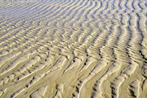 Northern Germany Coastal Area Prints: Wave structure in the sand at low tide