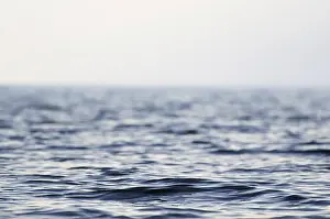 Waterfront With No One Prints: Wave on the water
