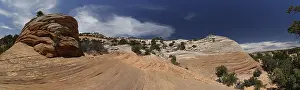 Eroded Sandstone Landscape USA Prints: Wave, wave-like sandstone formations