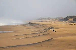 Deserted Sandy Beaches Africa Prints: Waves burn on the Atlantic coast