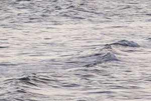 Blurred Motion On The Shore Prints: Waves, long exposure, wipe effect