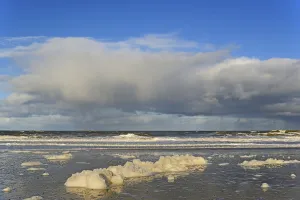 Lower Saxony Coastal Region Prints: Waves on a sandy beach with foam formation