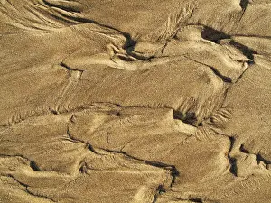 Wavy Sand Pattern Prints: Wavy pattern in the sand of beach
