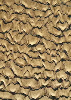 Wavy Sand Pattern Prints: Wavy pattern in the sand of beach