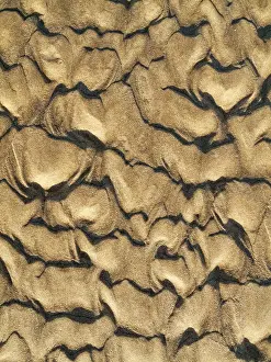 Wavy Sand Pattern Prints: Wavy pattern in the sand of beach