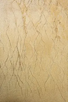 New Zealand Coastal Scenery Prints: Wavy pattern due to water current in the sand