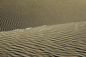 Canary Islands Desert Landscapes Prints: Wavy structures in the sand, dunes of Maspalomas