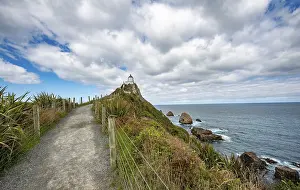 Catlins Coastline Prints: Way to the lighthouse at Nugget Point
