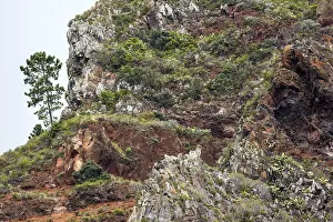 Rocky Coastline Portugal Prints: Weathered lava rocks on the cliffs