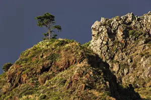Rocky Coastline Portugal Prints: Weathered lava rocks on the cliffs
