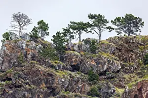 Rocky Coastline Portugal Prints: Weathered lava rocks on the cliffs
