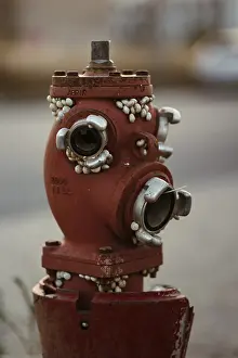 Prints of A weathered red fire hydrant covered in barnacles, showing rust and decay. The unusual marine growth on an urban object suggests abandonment, time passage, and nature reclaiming space Barnacle Prints: Weathered Red Fire Hydrant Print