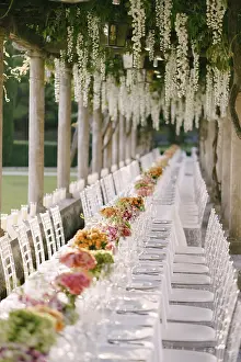 Prints of Wedding dinner table reception. A very long table for guests with a white tablecloth, floral arrangements, glass plastic transparent chairs Chiavari. Under the old columns with vines of wisteria Chiavari Prints: Wedding Dinner Table Reception Print under Wisteria Columns