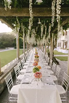 Prints of Wedding dinner table reception. A very long table for guests with a white tablecloth, floral arrangements, glass plastic transparent chairs Chiavari. Under the old columns with vines of wisteria Chiavari Prints: Wedding Dinner Table Reception Print Under Wisteria Columns
