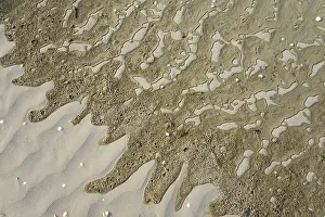European Beach Scene Prints: Wet sand surface with wavy patterns and small pebbles