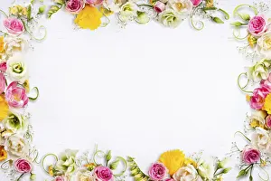 White Background For Copy Space Prints: A white background with a flowery border