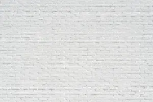 Brick Exterior Design Prints: White brick wall