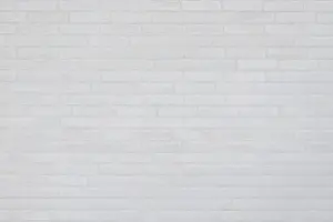 Abandoned Brick Walls Prints: White brickwall