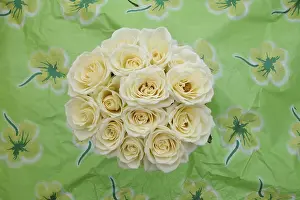 Colourful Flower Arrangements Prints: White bunch of roses